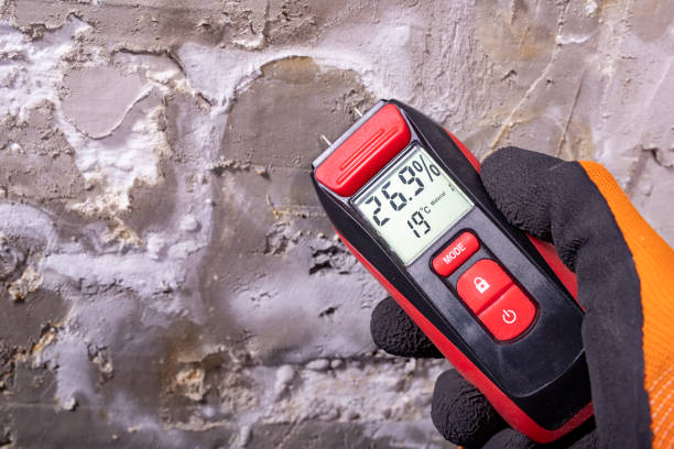 Best Best Mold Removal Companies  in Iowa Park, TX